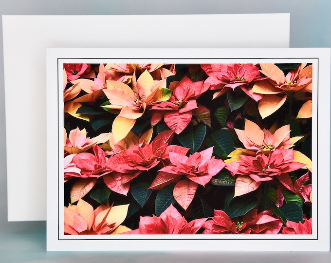 Christmas Cards - Set of 8 with Envelopes - Holiday Monet and Euphorbia Poinsettias  81-5122