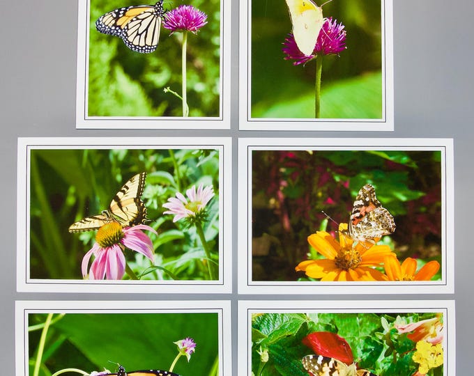 Assorted Butterfly Note Cards - Set of 6 - Blank Inside - 60-0470