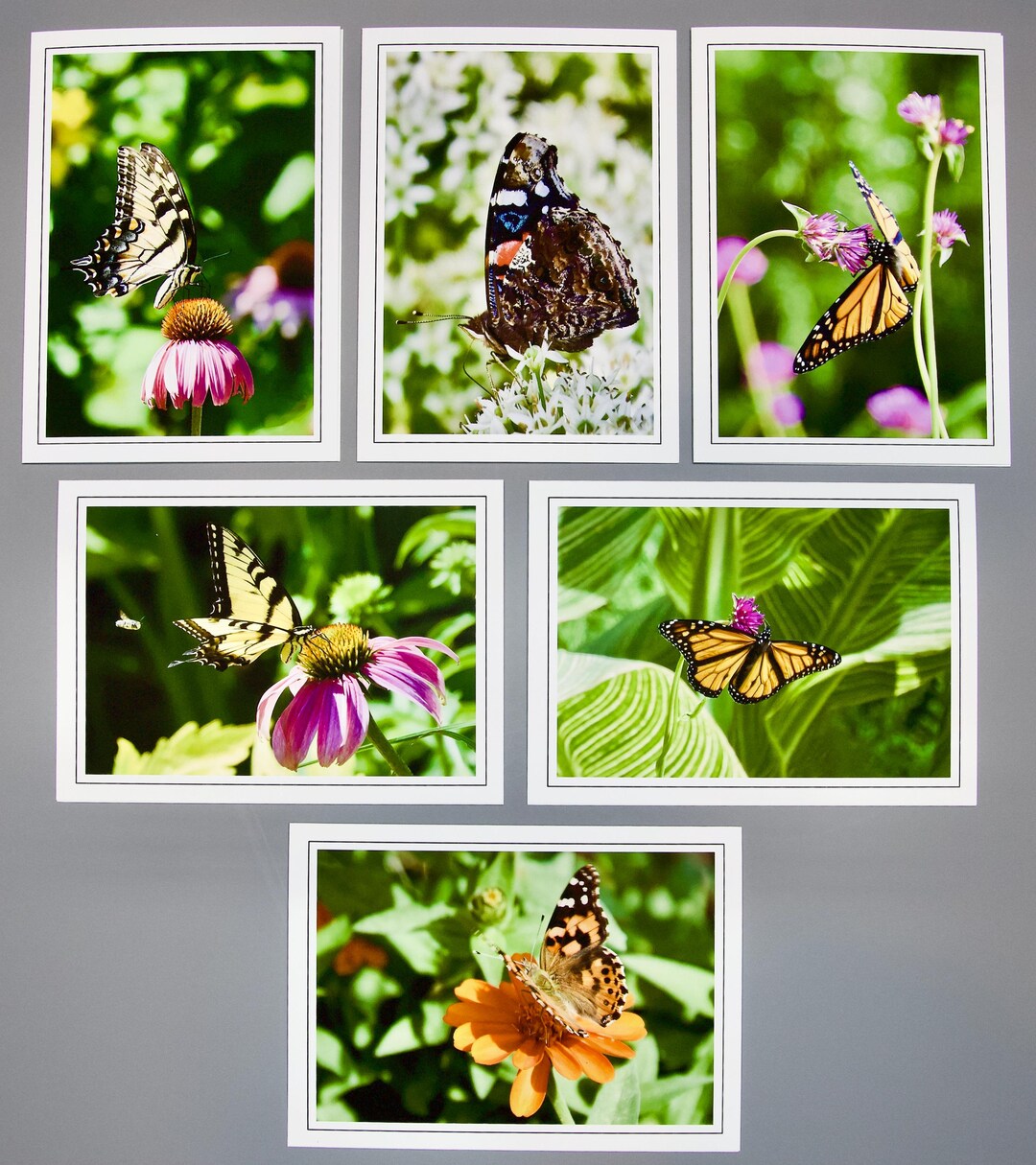 Assorted Butterfly Note Cards - Set of 6 - Blank Inside - 60-0460 - Etsy