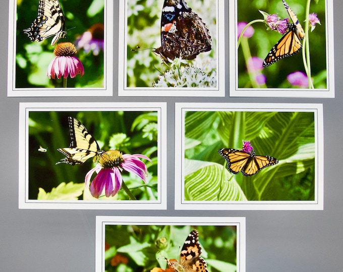 Assorted Butterfly Note Cards - Set of 6 - Blank Inside - 60-0460