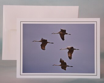 Sandhill Cranes in Flight Photo Note Card - Blank Note Card  71-3580N