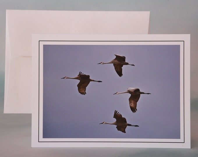 Sandhill Cranes in Flight Photo Note Card - Blank Note Card  71-3580N