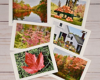 Note Cards - Fall Foliage  60-0070