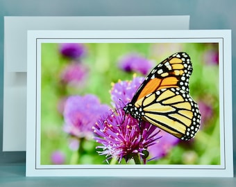 Butterfly Note Card - Monarch on Common Globe Amaranth - Blank Note Card