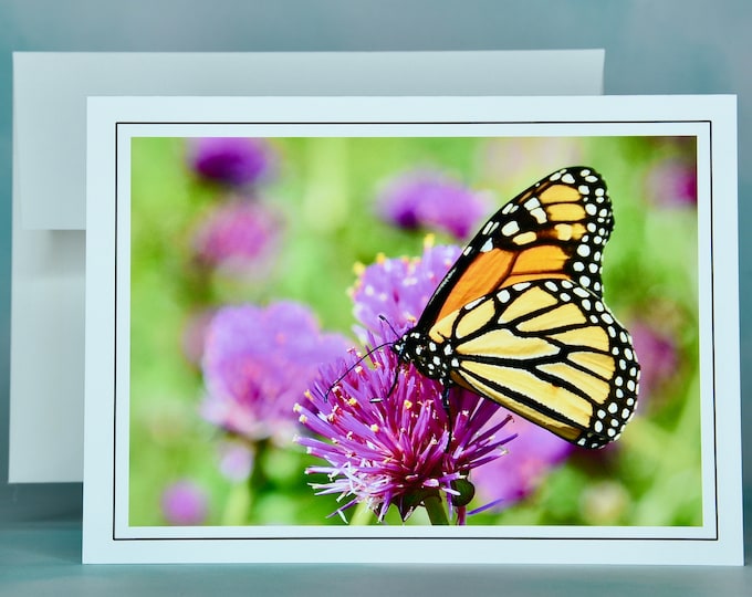 Butterfly Note Card - Monarch on Common Globe Amaranth - Blank Note Card  71-4497