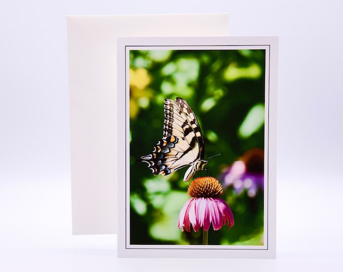Giant Swallowtail Butterfly on Coneflower - Blank Note Card  53-0059
