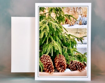 Christmas Card - Set of 8 with Envelopes - Pine Cones Under the Pines  81-4553