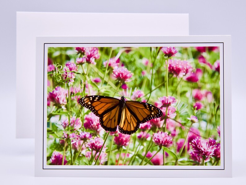 Butterfly Note Cards: Assorted Blank Cards Set of 6 - 60-0450 - Etsy