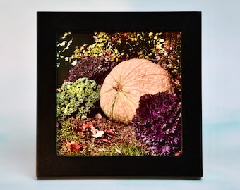 Small Framed Fall/Autumn Art - Fall/Autumn - Wall or Tabletop  F44-53-0555