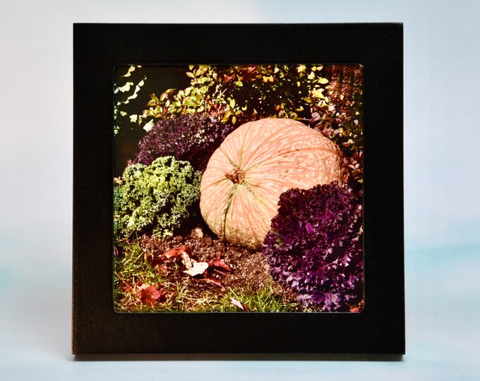 Small Framed Fall/Autumn Art - Fall/Autumn - Wall or Tabletop  F44-53-0555