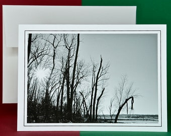 Winter Scenery - Set of 8 with Envelopes - Winter Sun Through the Iced Trees - Blank Note Card  81-4327