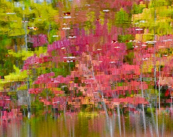 Fall Foliage Print - Fall Art Print - Fall Colors Reflecting on Pond - Fall "Water" Colors  53-0068