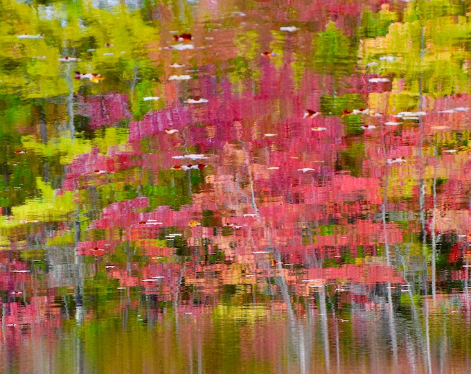 Fall Foliage Print - Fall Art Print - Fall Colors Reflecting on Pond - Fall "Water" Colors  53-0068