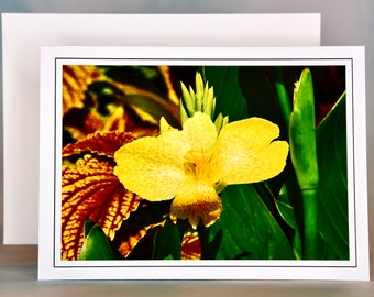 Orchid Canna Note Card - Blank Note Card  71-8250