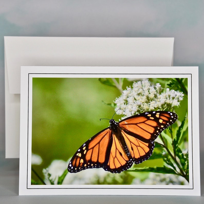 Butterfly Photo Note Cards Blank Note Cards 600080 Etsy