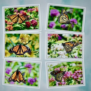 Carnets de correspondance papillons - papillons monarques - carnets de correspondance vierges 60-0280