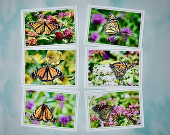 Butterfly Note Cards - Monarch Butterflies - Blank Note Cards  60-0280