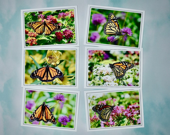 Butterfly Note Cards - Monarch Butterflies - Blank Note Cards  60-0280