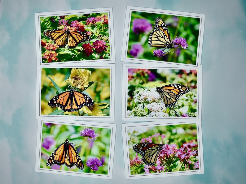 Butterfly Note Cards Monarch Butterflies Blank Note Cards 600280 Etsy
