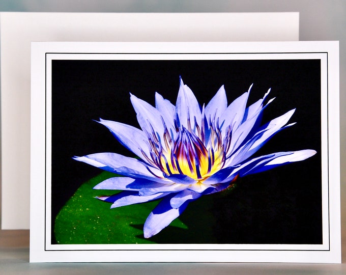 Egyptian Lotus Water Lily Note Card - Blank Note Card  71-8167