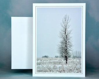 Winter Scenes - Tree in Snow - Blank Note Card  71-5370