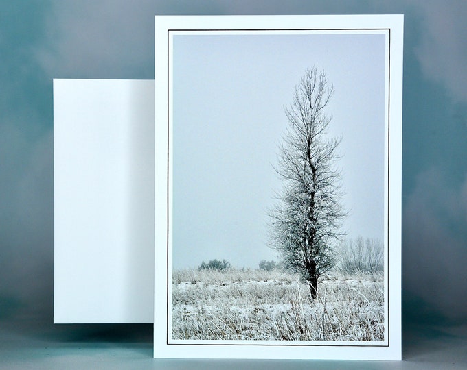 Winter Scenes - Tree in Snow - Blank Note Card  71-5370