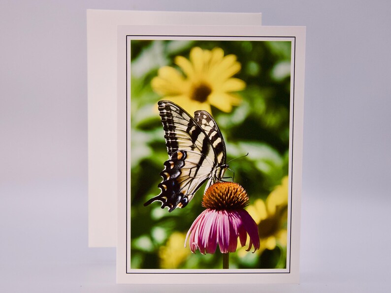 Butterfly Note Cards: Assorted Blank Cards Set of 6 - 60-0450 - Etsy