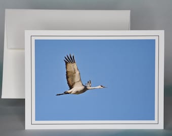 Sandhill Crane in Flight Photo Note Card: Blank All Occasion Greeting Card - 71-2580