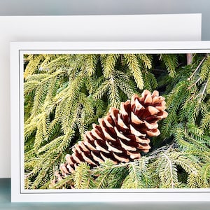Christmas Cards - Set 0f 8 with Envelopes - Pine Cone in Pines  81-0237