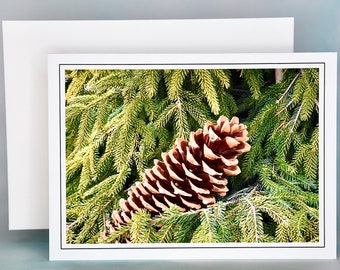 Christmas Cards - Set 0f 8 with Envelopes - Pine Cone in Pines  81-0237