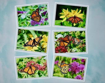 Monarch Butterfly Note Cards: Blank Inside, Gift Set - 60-0290