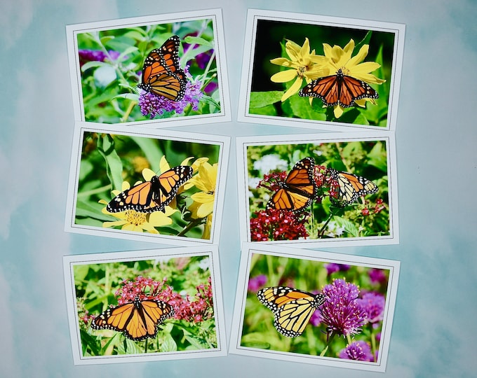 Butterfly Note Cards - Monarch Butterflies - Blank Note Cards