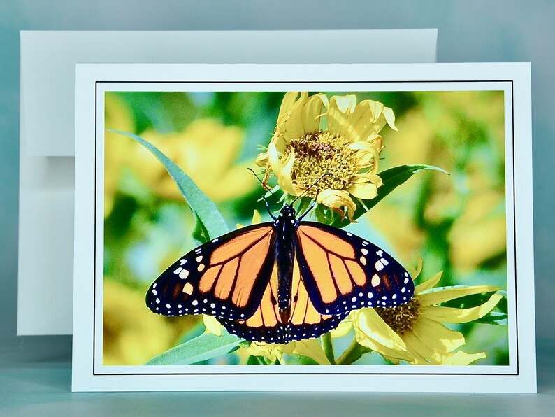 Butterfly Note Cards Monarch Butterflies Blank Note Cards 600280 Etsy