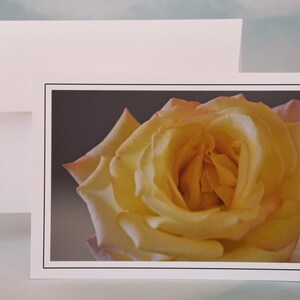 Carton photo rose jaune - Carton vierge - Carte de voeux 71-1342N
