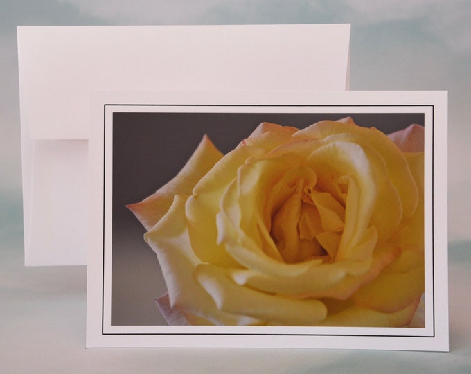 Yellow Rose Photo Note Card - Blank Note Card - Greeting Card  71-1342N