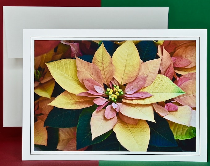 Christmas Cards - Set of 8 with Envelopes - Euphorbia Autumn Leaves Poinsettia  81-0788