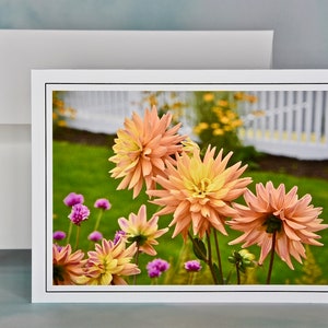 Carte de correspondance florale - Carte de correspondance vierge - Dahlias 71-0154