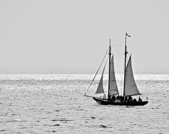 Sailing Photo Print - Black & White Print - Sailing out of Kennebunk Harbor  53-0410