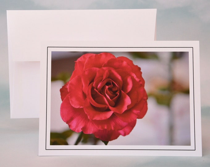 Brilliant Red Rose Photo Note Card - Blank Note Card - Greeting Card 71-1350N