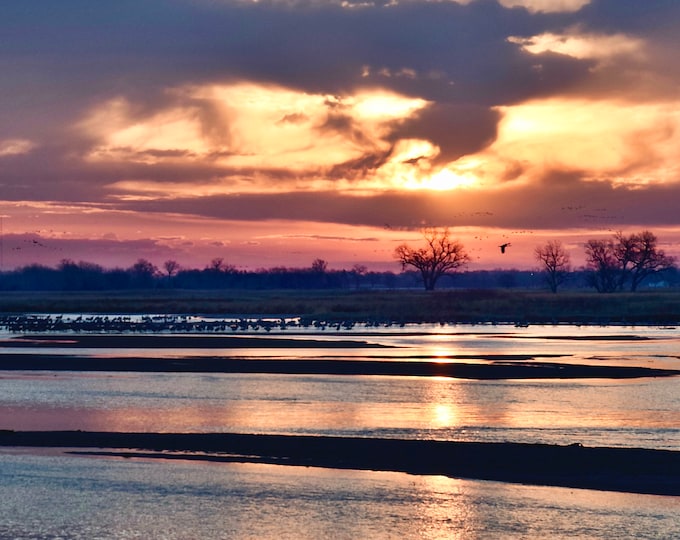 Sandhill Crane Print - "Cranes - Cloudy Sunrise Over the Platte"   53-0188D