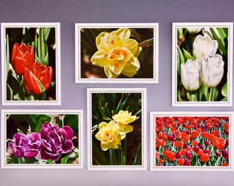 Tulip & Daffodil Note Cards: Assorted Blank Greeting Cards - 60-0570