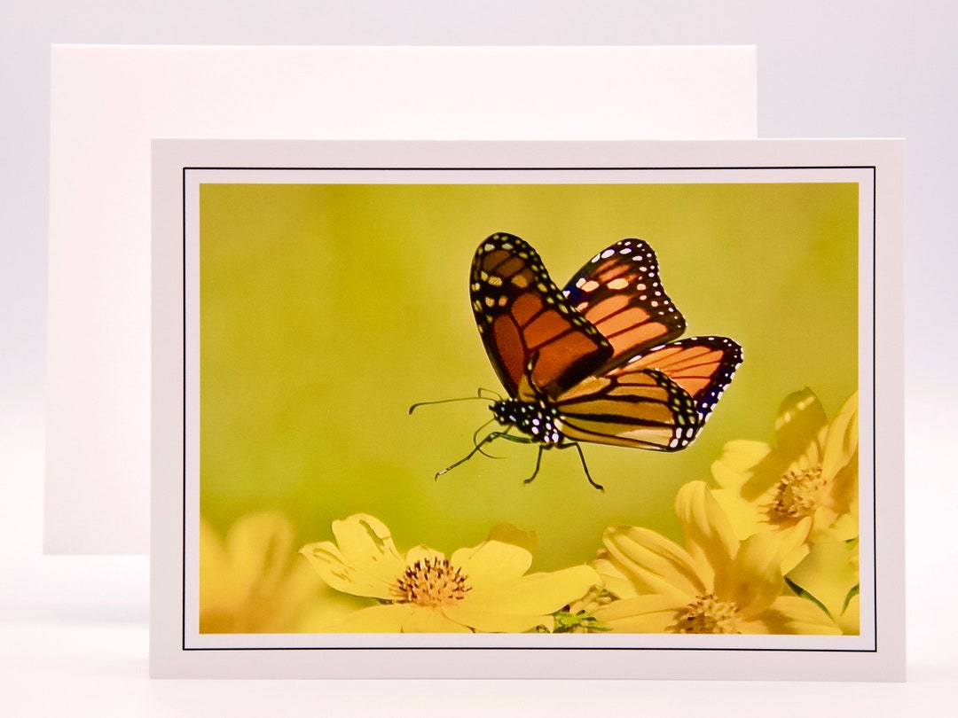 Monarch Butterfly Landing - Blank Note Card 71-7754 - Etsy