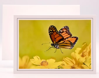 Monarch Butterfly Landing - Blank Note Card  71-7754