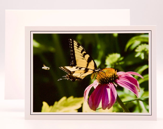 Giant Swallowtail Butterfly & Friend on Coneflower - Blank Note Card  53-0092