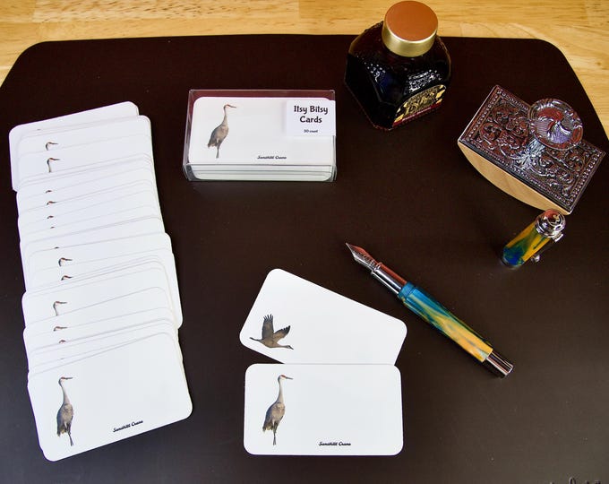 Small Note Cards - “Itsy Bitsy Cards” - Personal Size Notecards - 50 ct. - Sandhill Crane - Posing - 22-0040