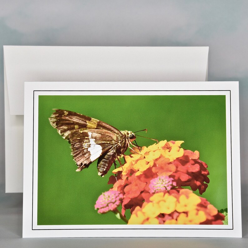 Butterfly Photo Note Cards Blank Note Cards 600080 Etsy