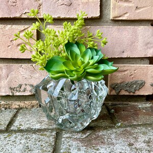 May include: A small, clear glass vase with a faceted design holds a green succulent plant and a sprig of green foliage.