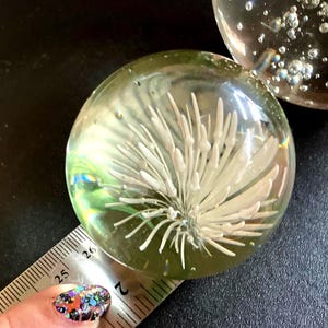 May include: Clear glass paperweight with a white floral design encased within. The paperweight is round and measures approximately 2 inches in diameter. Bubbles are visible within the glass, adding to its decorative appeal.