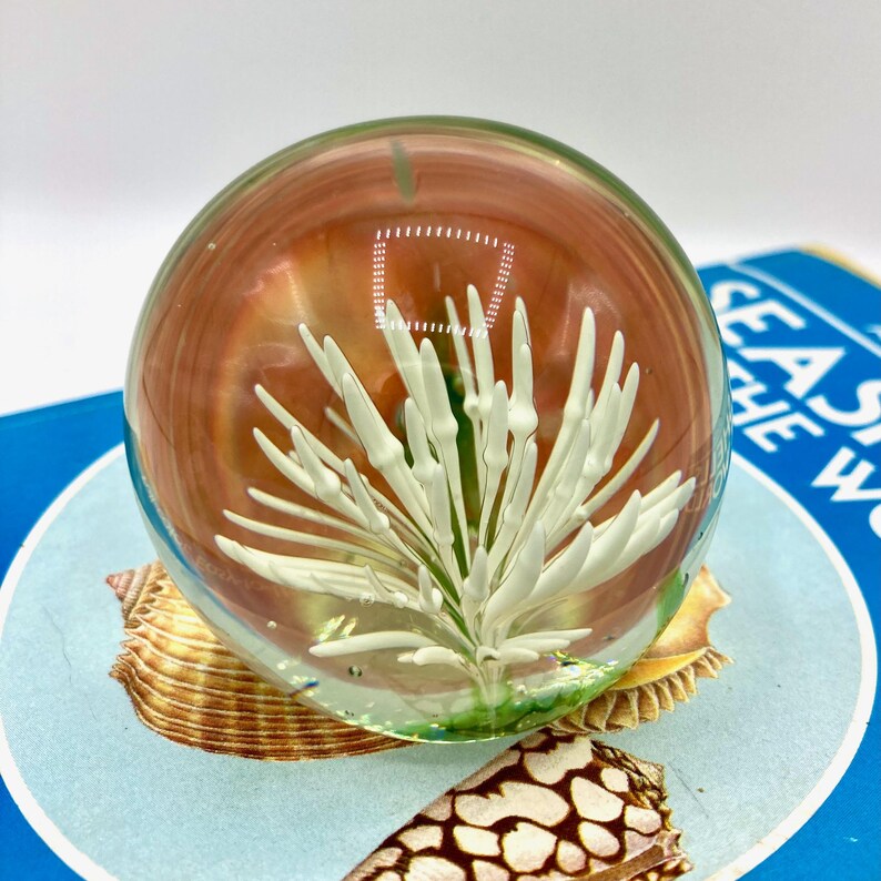 May include: A clear glass paperweight with a white, plant-like sculpture encased within. The paperweight has a warm, orange-brown hue and sits atop a seashell. The base is a blue and white circular design with the text "SEAS" and "THE W".