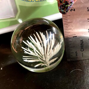May include: Clear glass paperweight with a white, plant-like design inside. The paperweight is approximately 2 inches in diameter. The design is a detailed, white, plant-like structure encased in clear glass.